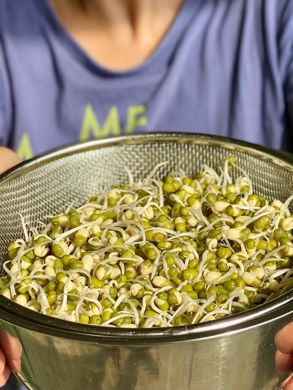 How to Sprout Moong (Mung) Beans at Home
